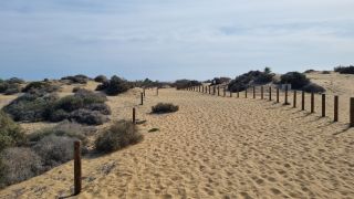 2023-GC--Mapalomas dunas-S123-222.jpg